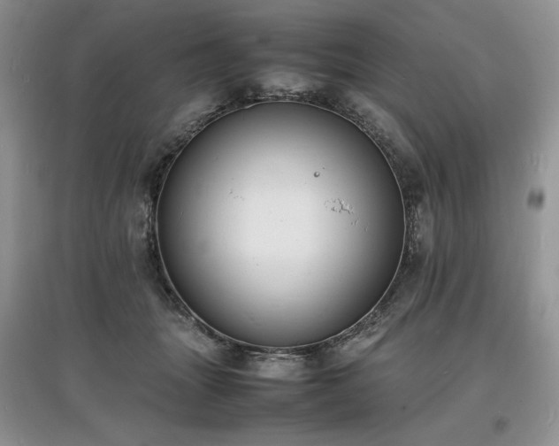 X0000097620463200803071514