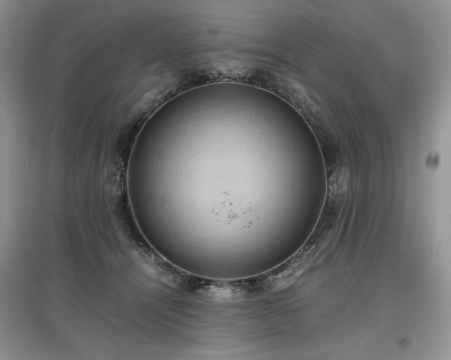 X0000097620464200803071514