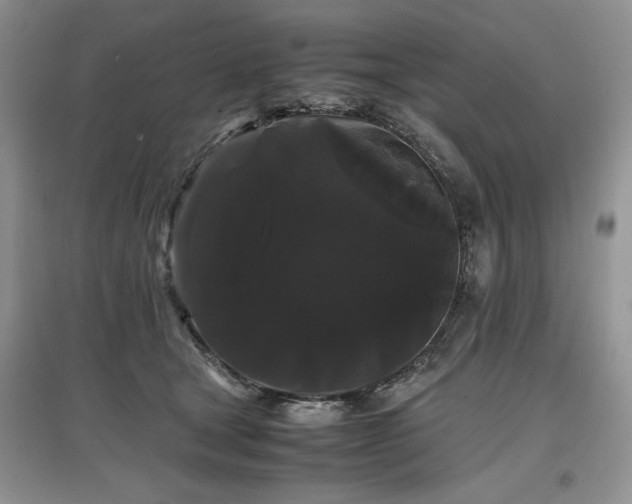 X0000097620465200803071514