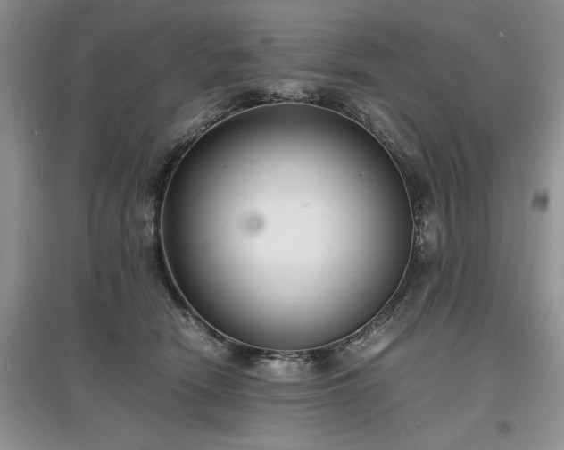 X0000097620466200803071514