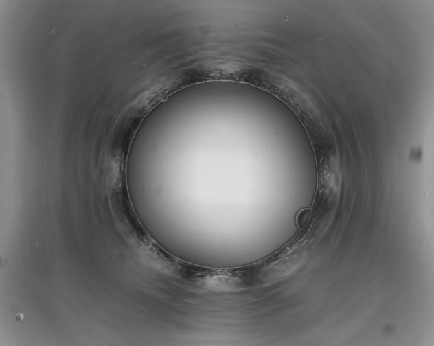 X0000097620468200803071514
