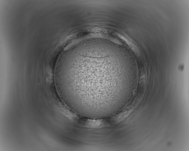 X0000097620469200803071514