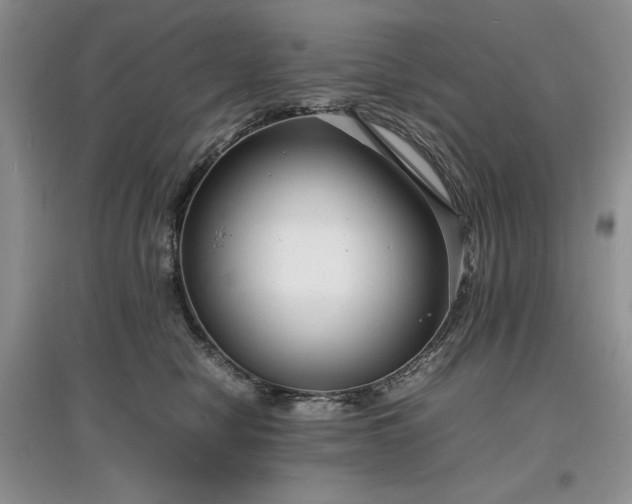 X0000097620470200803071514