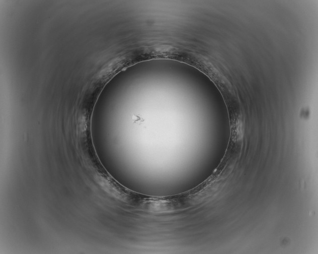 X0000097620472200803071514