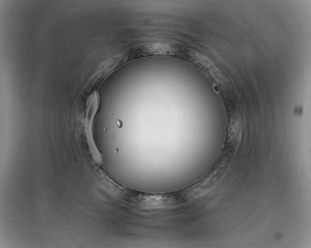 X0000097620473200803071514