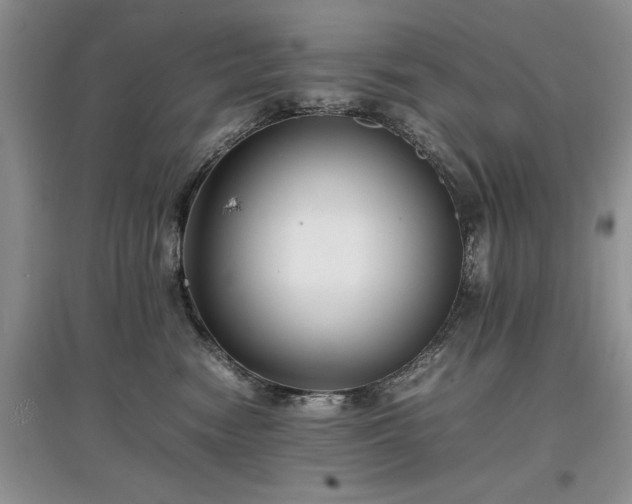 X0000097620474200803071514