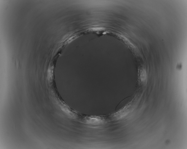 X0000097620475200803071514