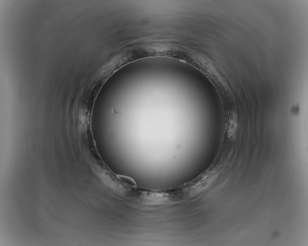 X0000097620476200803071514