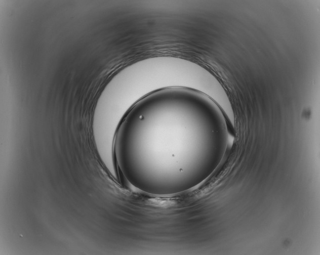 X0000097620477200803071514
