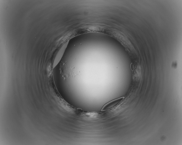 X0000097620478200803071514