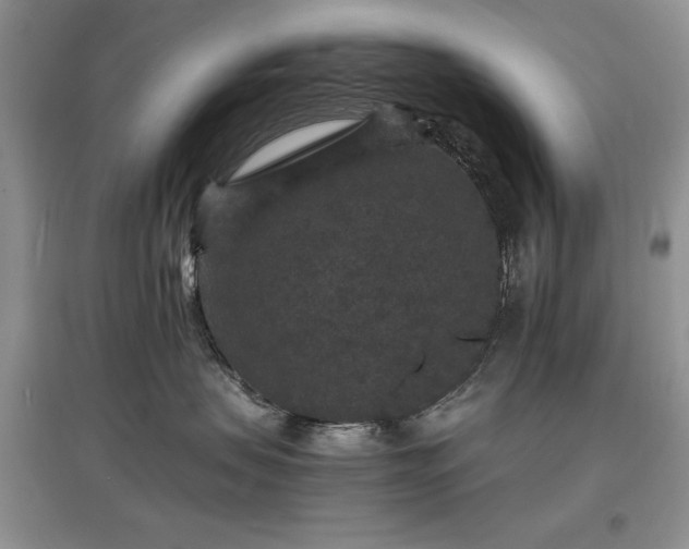 X0000097620479200803071514
