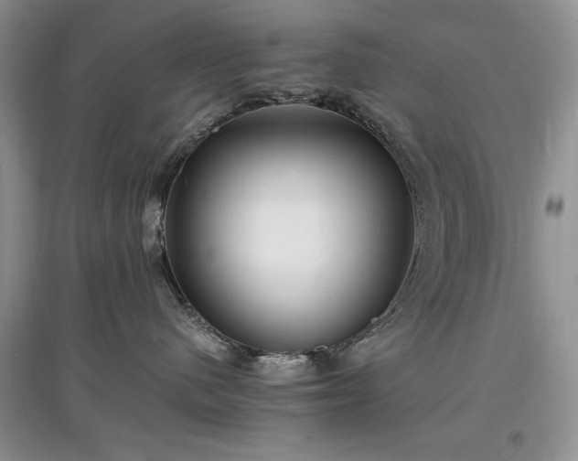 X0000097620480200803071514