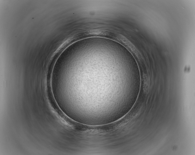 X0000097620482200803071513