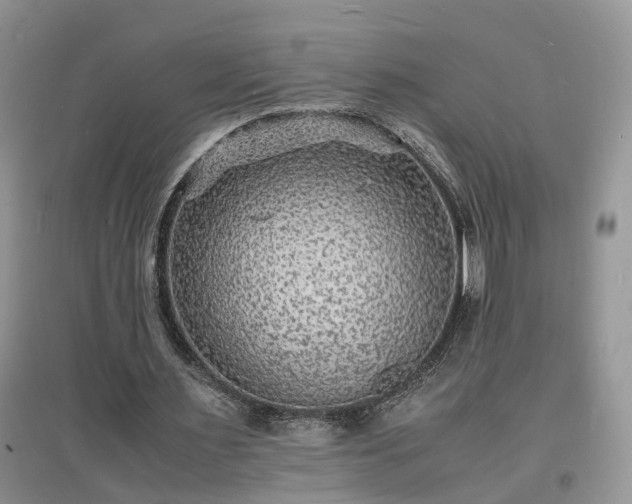 X0000097620483200803071513