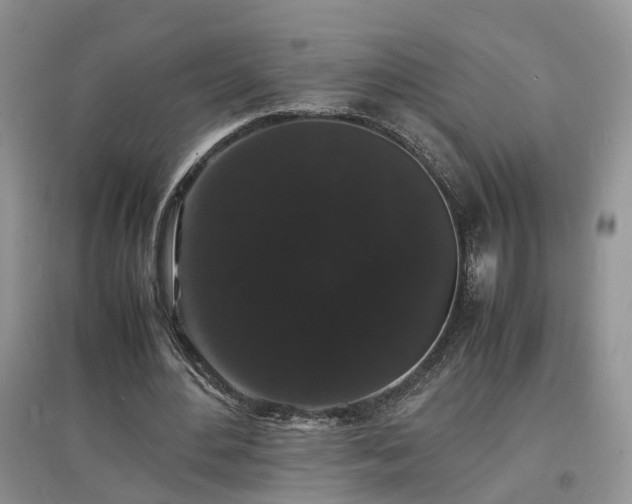 X0000097620484200803071513