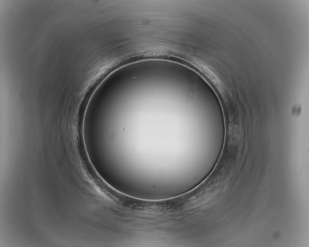 X0000097620485200803071513