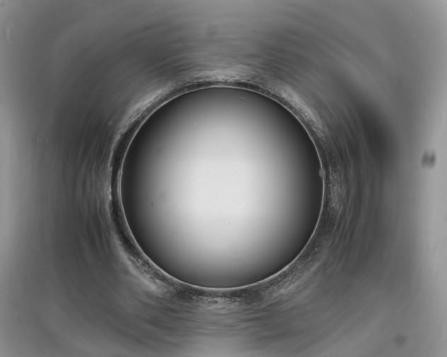X0000097620486200803071513
