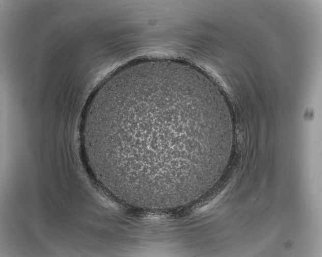 X0000097620487200803071513