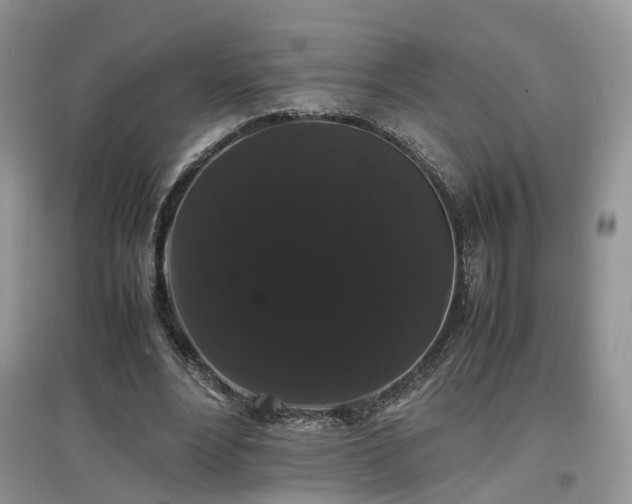 X0000097620488200803071513