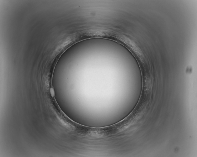 X0000097620489200803071513