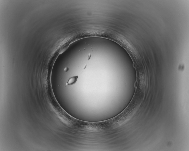 X0000097620490200803071513