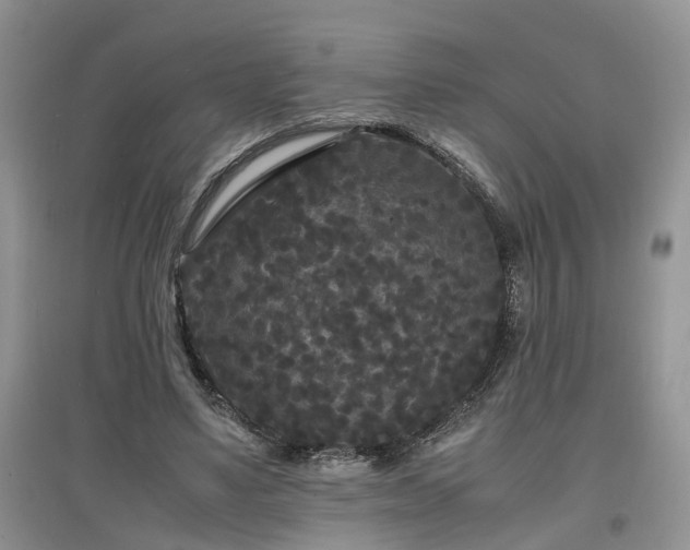 X0000097620491200803071513