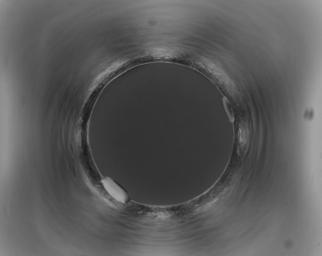 X0000097620492200803071513