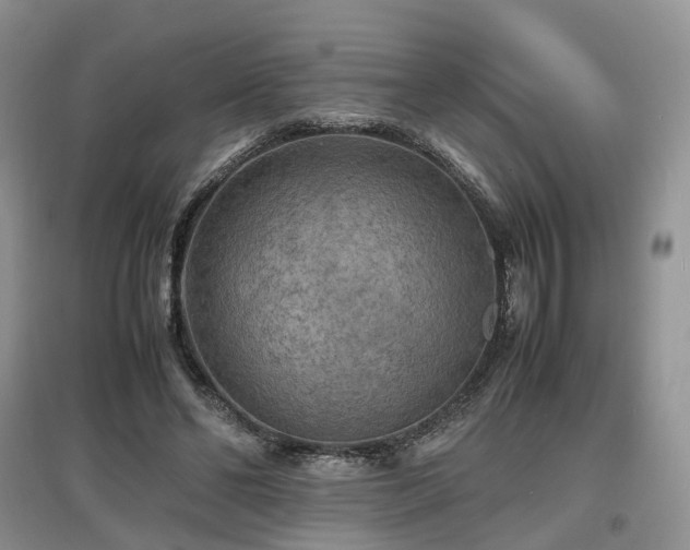 X0000097620494200803071513