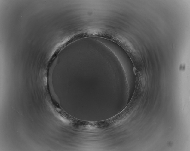 X0000097620496200803071513