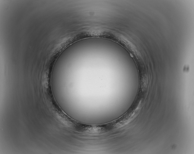 X0000097620497200803071513
