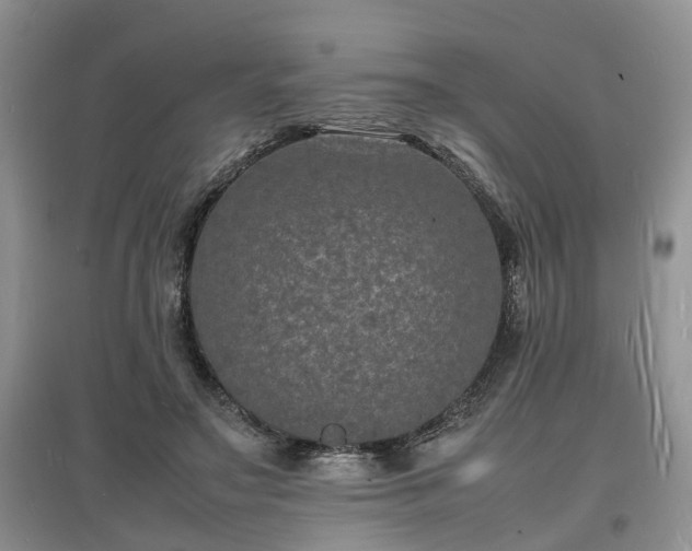 X0000097620499200803071513