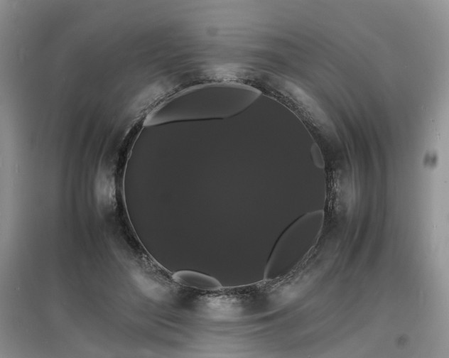 X0000097620500200803071513