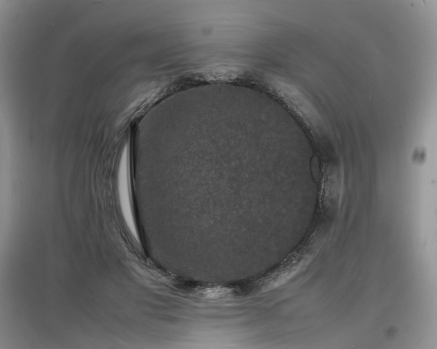 X0000097620501200803071513