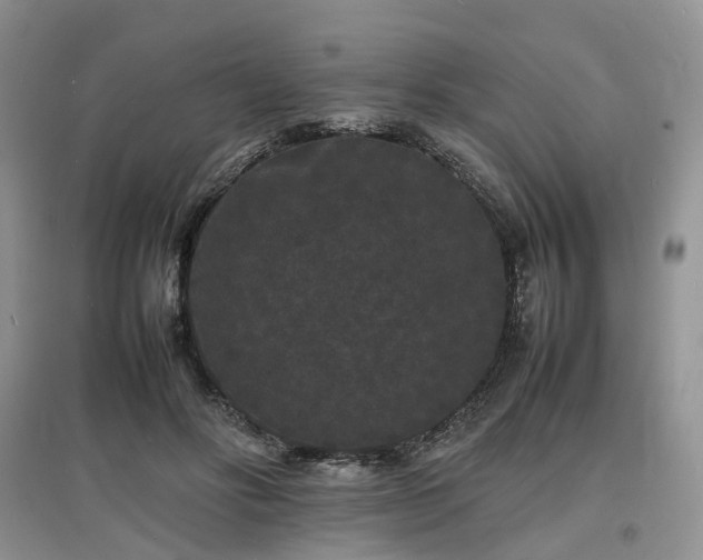 X0000097620502200803071513