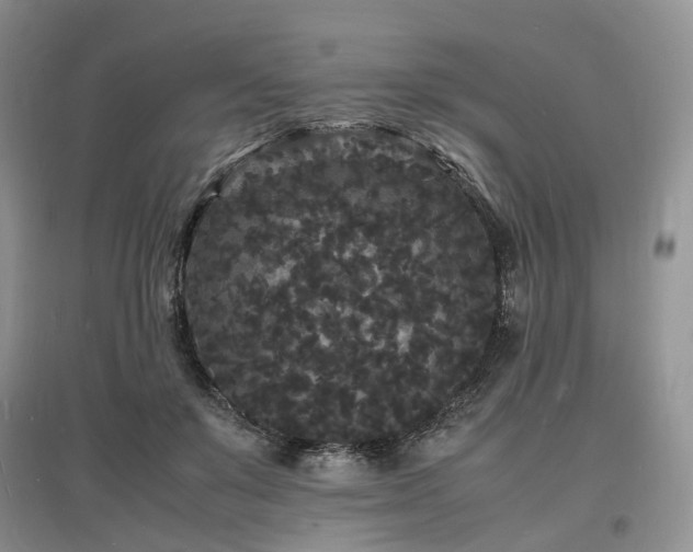 X0000097620503200803071513