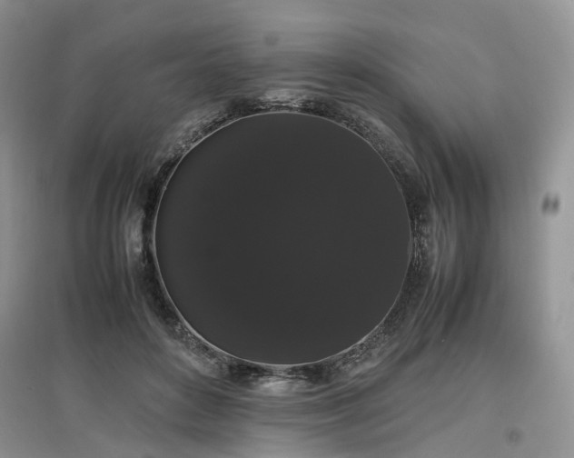 X0000097620504200803071513