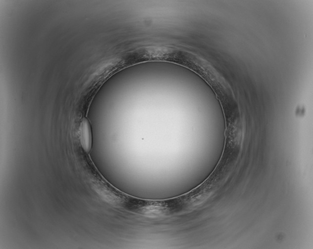 X0000097620505200803071513