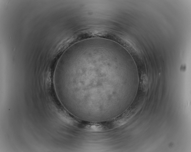 X0000097620506200803071513