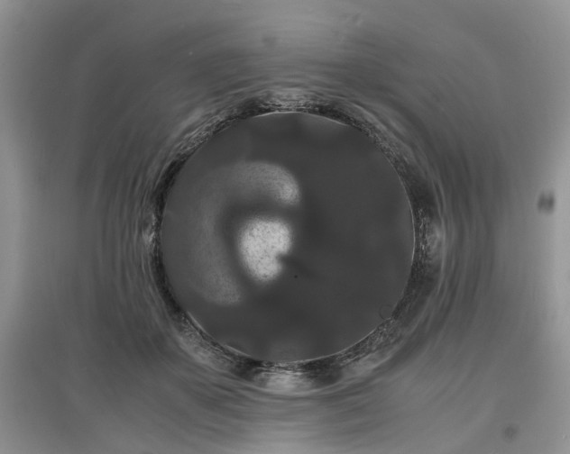 X0000097620507200803071513