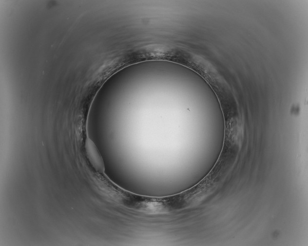 X0000097620509200803071513