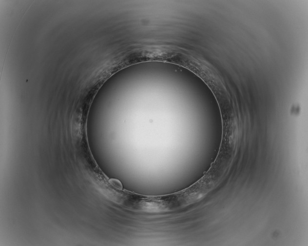X0000097620510200803071513