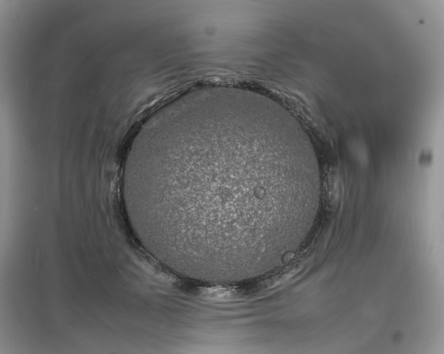 X0000097620511200803071513