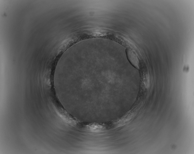 X0000097620512200803071513