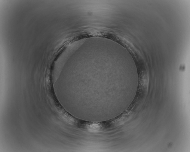 X0000097620513200803071513