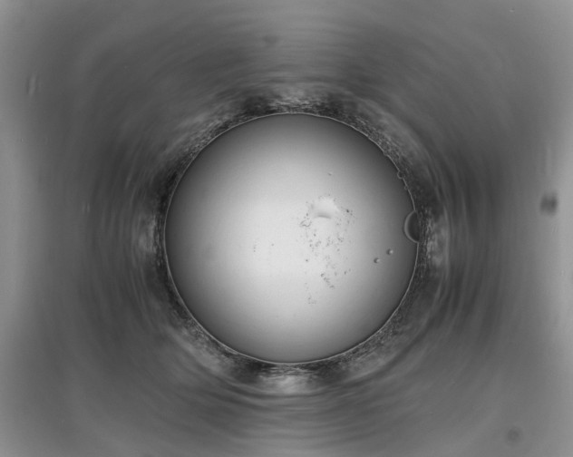 X0000097620514200803071513