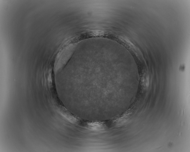 X0000097620516200803071513