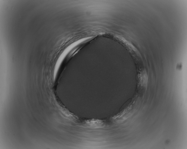X0000097620517200803071513