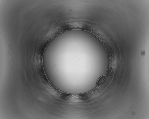 X0000097620518200803071513