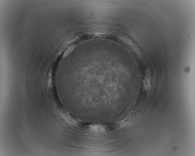 X0000097620520200803071513
