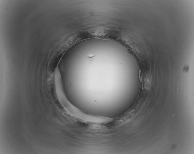 X0000097620521200803071513